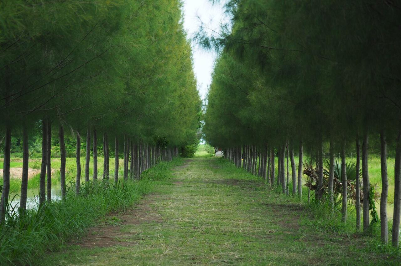 Xaiyong Resort - ไทรโยงรีสอร์ท Buriram Buitenkant foto